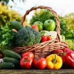 Neuroscienceresearchinc